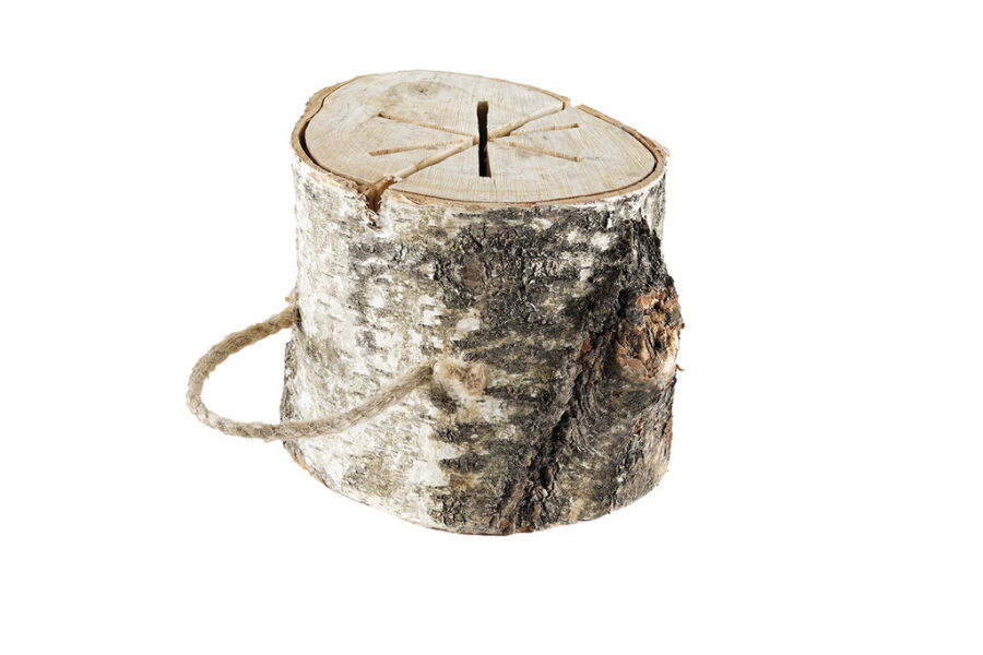Schwedenfeuer Bonfire Baumfeuer