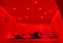 Weka 45mm Premium Design Massivholz-Elementsauna KEMI PANORAMA 2 verschiedene Varianten
