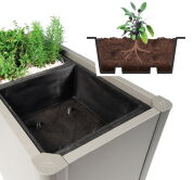 Biohort Pflanzeinsatz zu Pflanzbeet Belvedere 2 Stück
