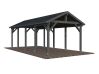 Palmako Einzelcarport ROBERT 23,1 m²  315x732 cm, 12x12 Pfosten, natur + farbig