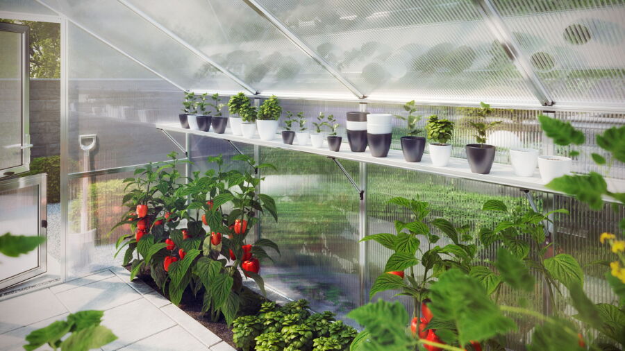 KGT Gewächshaus Modell Jasmin II, blank 2,27 x 1,53  x 2,12 m