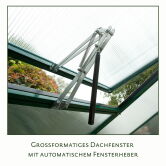 KGT Gewächshaus Modell Nelke III, tannengrün 2,97 x 3,23 x 2,44 m